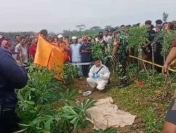 Wanita Hamil  Ditemukan Tewas Misterius di Perkebunan Singkong