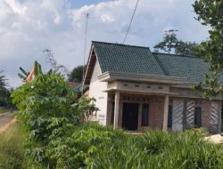 Dugaan Prostitusi Berkedok Warung Tuak Kian Marak, Pemkab Lampung Timur dan APH Diharapkan Bertindak Tegas